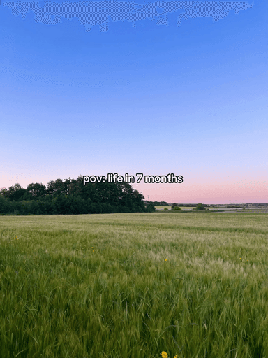 Example of viral video content format